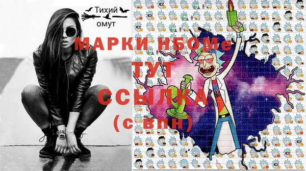 гашик Алексин